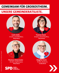 Gemeinderatswahl 17-20